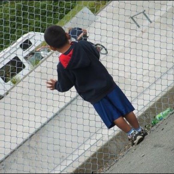 Meet your Posher, Benjamin - Picture 1 of 1